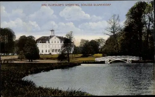 Ak Bad Oldesloe in Schleswig Holstein, Schloss Blumendorf, Teich, Brücke