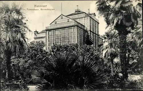 Ak Herrenhausen Hannover in Niedersachsen, Blick auf das Palmenhaus