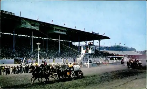 Ak Chuckwagon Races, Hippodrome, Pferderennsport