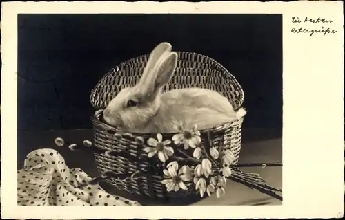 Ak Glückwunsch Ostern, Kaninchen in Korb