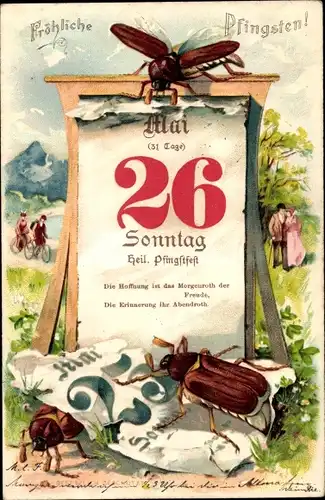 Litho Glückwunsch Pfingsten, Kalender, 26 Mai Sonntag, Maikäfer, Paare, Radfahrer