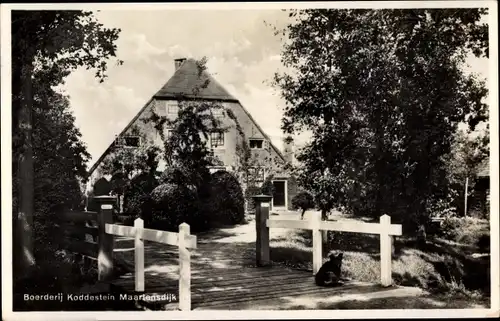 Ak Maartensdijk Utrecht Niederlande, Boerderij Koddestein