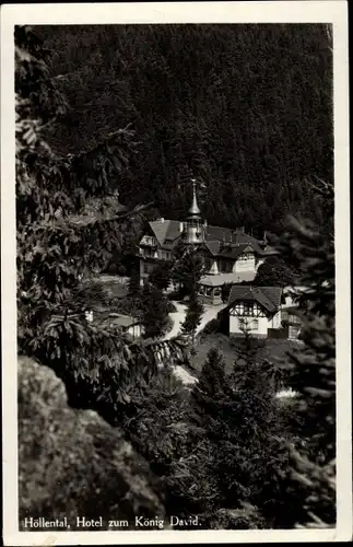 Ak Höllental Bad Streben, Hotel zum König David, Wald