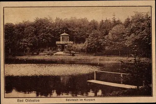 Ak Bad Oldesloe in Schleswig Holstein, Salzteich im Kurpark