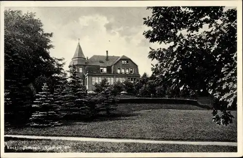 Ak Recklinghausen Ruhrgebiet, Partie im Stadtgarten, Tannen