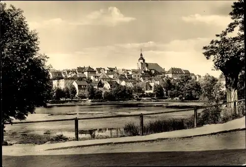 Ak Ronneburg in Thüringen, Am Baderteich, Blick auf den Ort