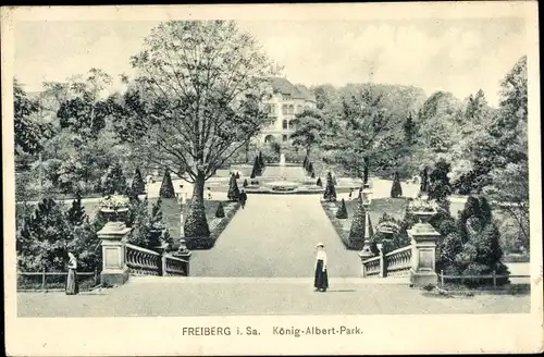 Ak Freiberg in Sachsen, König Albert Park