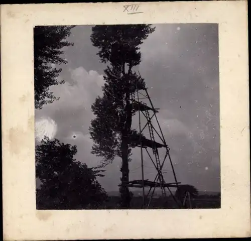 Foto Pionier Kommando Dresden, Leiterturm an einem Baum