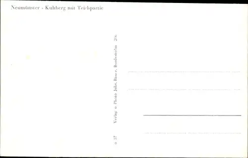 Ak Neumünster in Holstein, Kuhberg mit Teichpartie