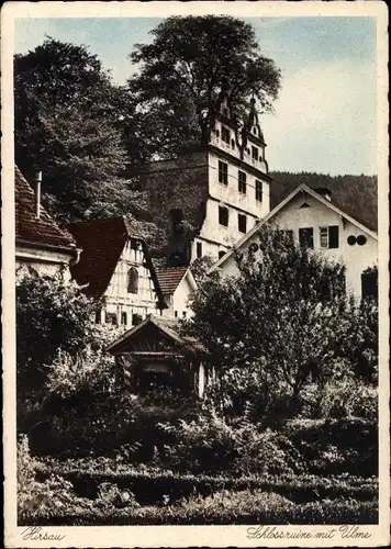 Ak Hirsau Calw im Schwarzwald, Schlossruine mit Ulme