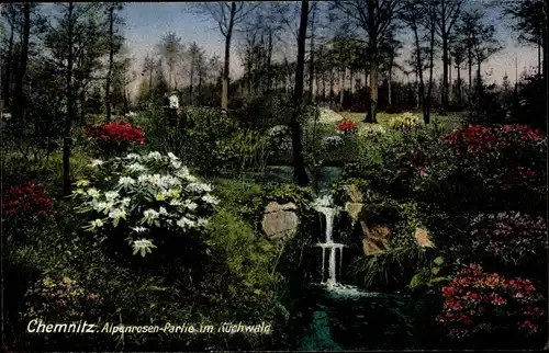 Ak Chemnitz in Sachsen, Alpenrosen Partie im Küchwald