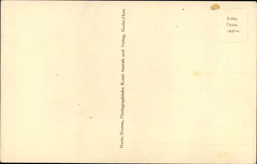 Ak Goslar am Harz, Musikkorps des Realgymnasiums und Gymnasiums