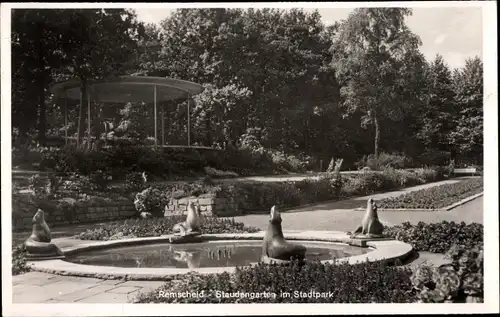 Ak Remscheid im Bergischen Land, Staudengarten im Stadtpark