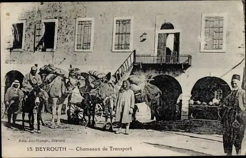 Ak Beirut Beyrouth Libanon, Chameaux de Transport, Araber, Kamele