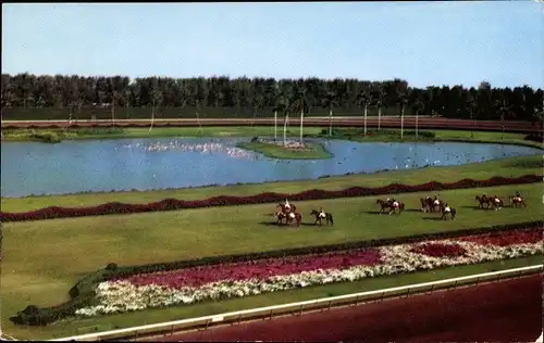 Ak Miami Beach Florida USA, Hialeah Race Course