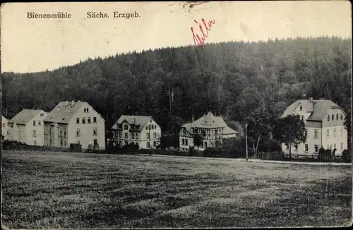 Ak Rechenberg Bienenmühle Sächs. Erzgebirge, Villen