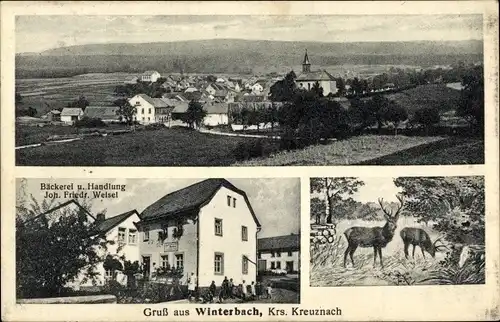 Ak Winterbach im Soonwald Hunsrück, Panorama, Bäckerei und Handlung, Hirsche