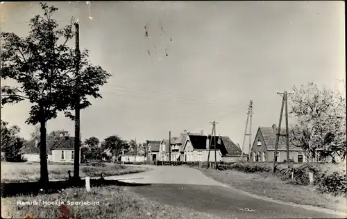 Ak Hemrik Friesland Niederlande, Hoekje Sparjebird