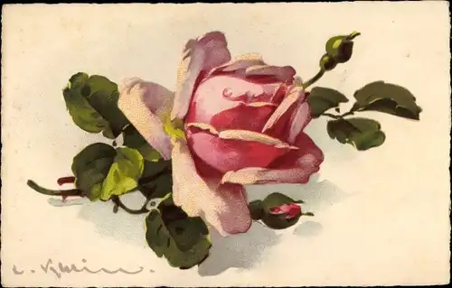 Künstler Ak Klein, Catharina, Rosa Rose