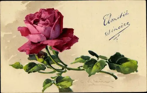 Künstler Ak Klein, Catharina, Rosa Rosenblüte