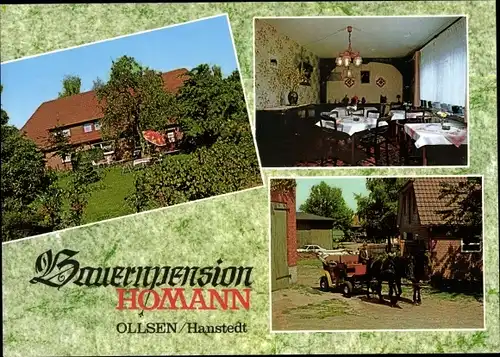 Ak Ollsen Hanstedt Niedersachsen, Bauernpension Homann