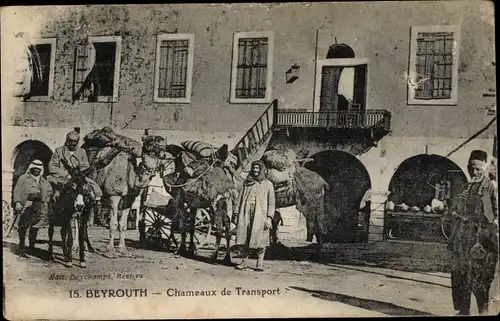 Ak Beirut Beyrouth Libanon, Chameaux de Transport