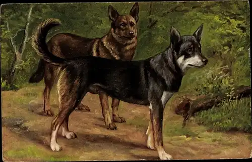 Künstler Ak Zwei Schäferhunde, Hundeportrait