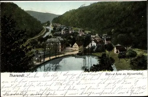 Ak Tharandt im Erzgebirge, Blick von der Ruine ins Weisseritzthal