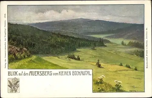 Künstler Ak Wildenthal Eibenstock im Erzgebirge, Panorama