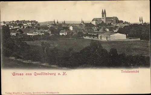 Ak Quedlinburg im Harz, Totalansicht