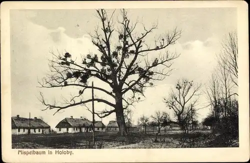 Ak Holoby Ukraine, Ortspartie mit einem Mispelbaum