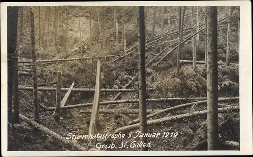 Foto Ak Grub Kanton St. Gallen, Sturmkatastrophe 5. Januar 1919, umgestürzte Bäume, Wald