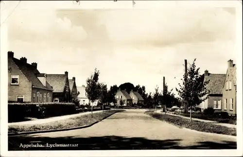 Ak Appelscha Fryslân Friesland Niederlande, Lyclamstraat