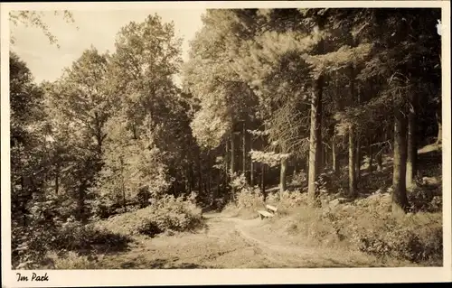 Ak Lüttringhausen Remscheid im Bergischen Land, Park, Stiftung Tannenhof