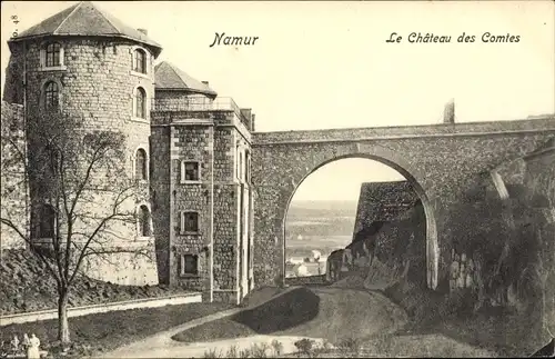 Ak Namur Wallonien, Le Chateau des Comtes