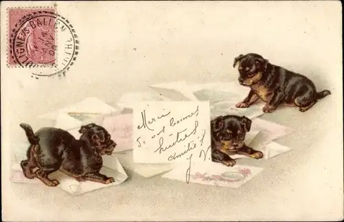 Ak Drei kleine Hunde mit Briefen