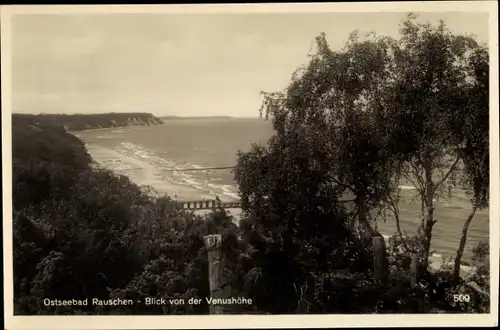 Ak Swetlogorsk Rauschen Ostpreußen, Blick von der Venushöhe