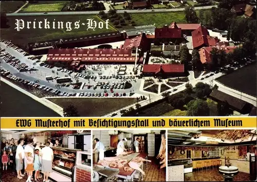 Ak Sythen Haltern am See, Europahof Prickings Hof, EWG Mutterhof mit Besichtigungsstall u. Museum