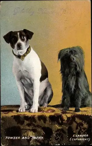 Ak Towzer and Jacky, Hundeportrait