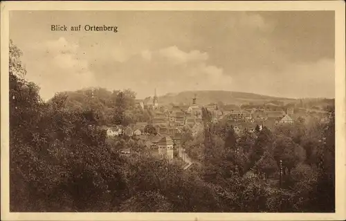 Ak Ortenberg in Hessen, Blick zum Ort, Wald