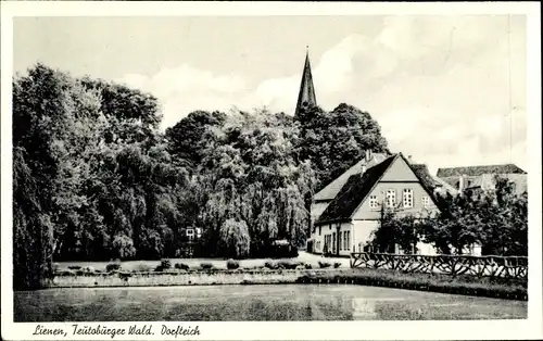 Ak Lienen im Teutoburger Wald Tecklenburger Land, Dorfteich