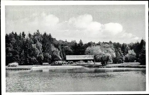 Ak Kollow in Schleswig Holstein, Kurheim, Seepartie