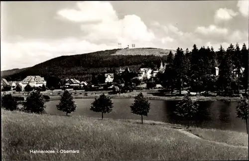 Ak Hahnenklee Bockswiese Goslar im Harz, Gesamtansicht
