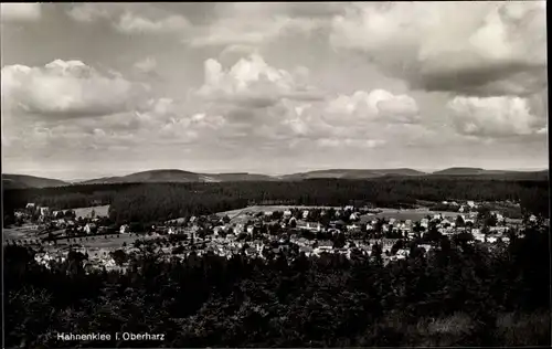 Ak Hahnenklee Bockswiese Goslar im Harz, Gesamtansicht