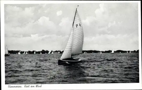 Ak Lembruch am Dümmersee, Segelboot