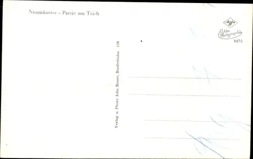 Ak Neumünster in Holstein, Partie am Teich