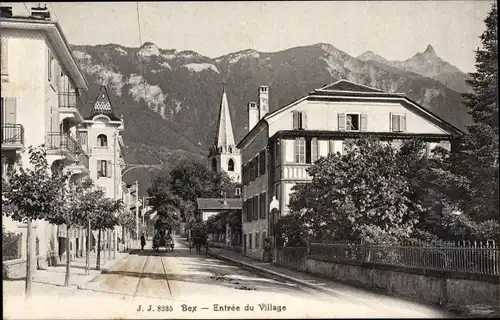 Ak Bex Kanton Waadt, Entree du Village
