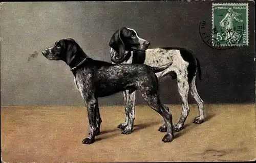 Künstler Ak Zwei Hunde, Dunkles Fell, Schwarzweiß