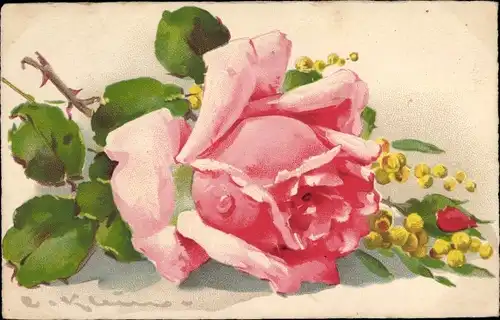 Künstler Ak Klein, Catharina, Rosa Rose und gelbe Blüten