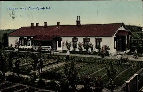 Ak Freistatt in Niedersachsen, Haus, Gemüsegarten